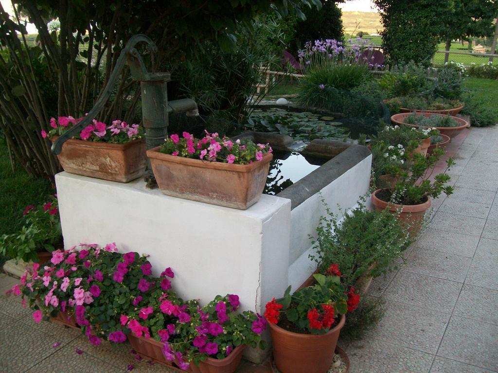 B&B La Casa Bianca Фоссачезия Экстерьер фото